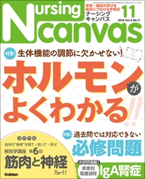 ナーシング・キャンバス Vol.4 No.11